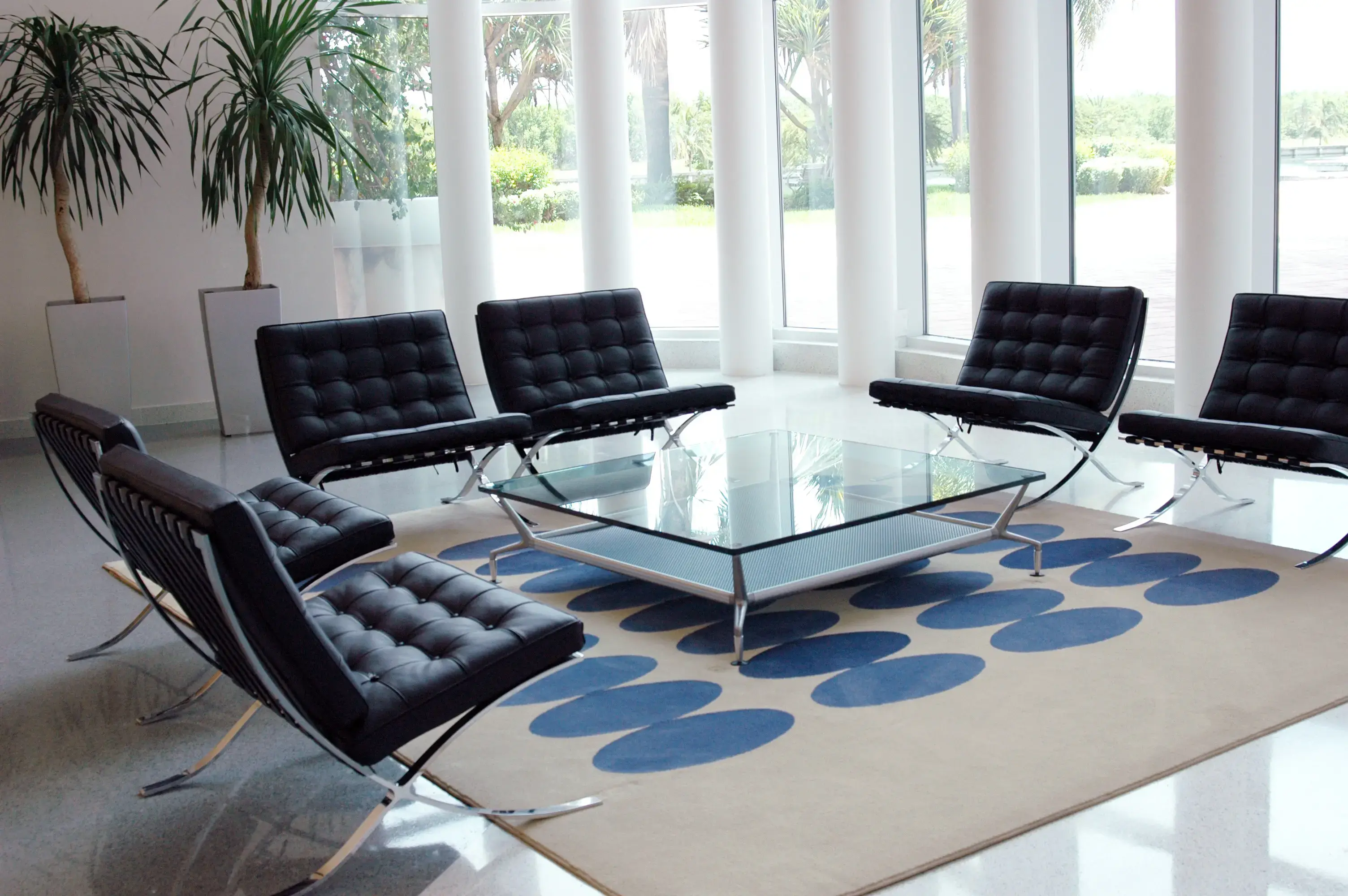 Commercial Area Rug Cleaning COIT